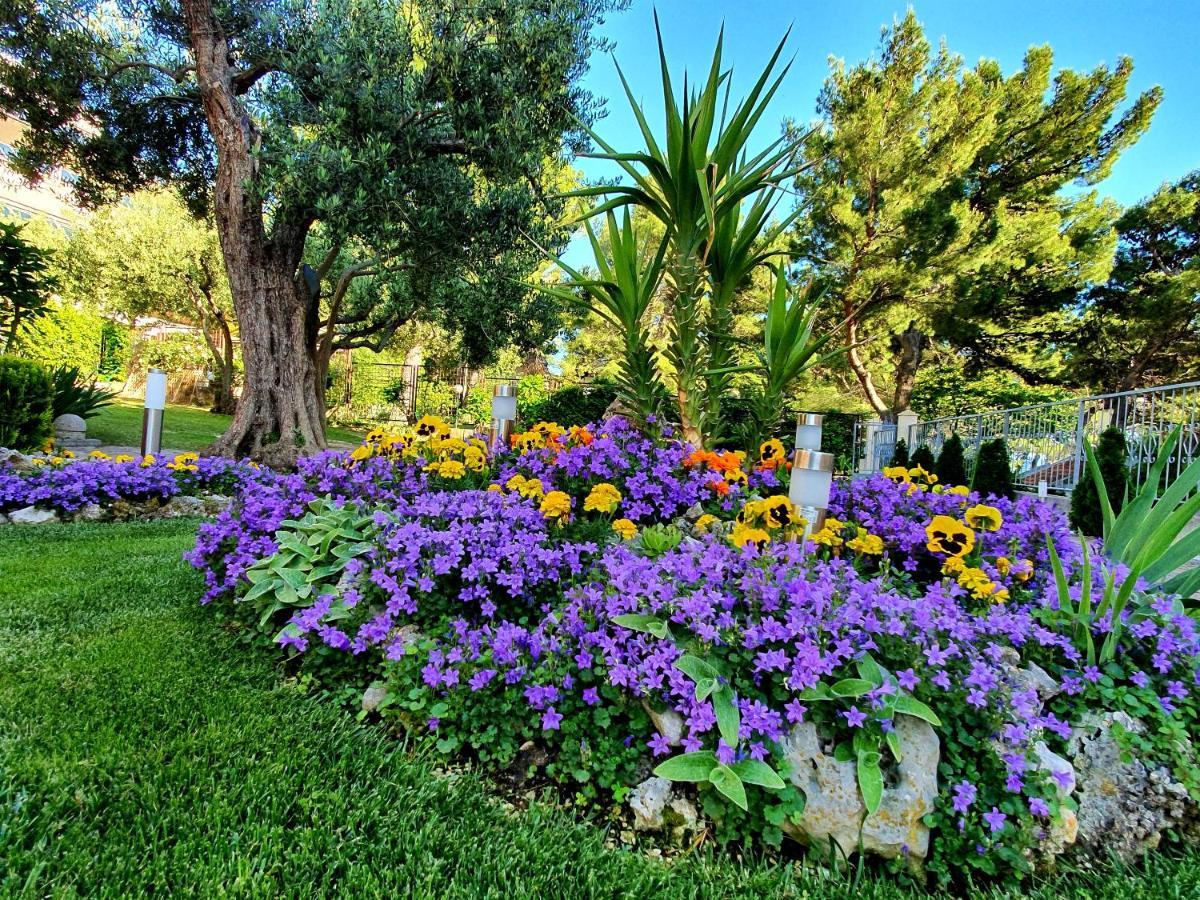 באסקה וודה Guest House Antonia מראה חיצוני תמונה